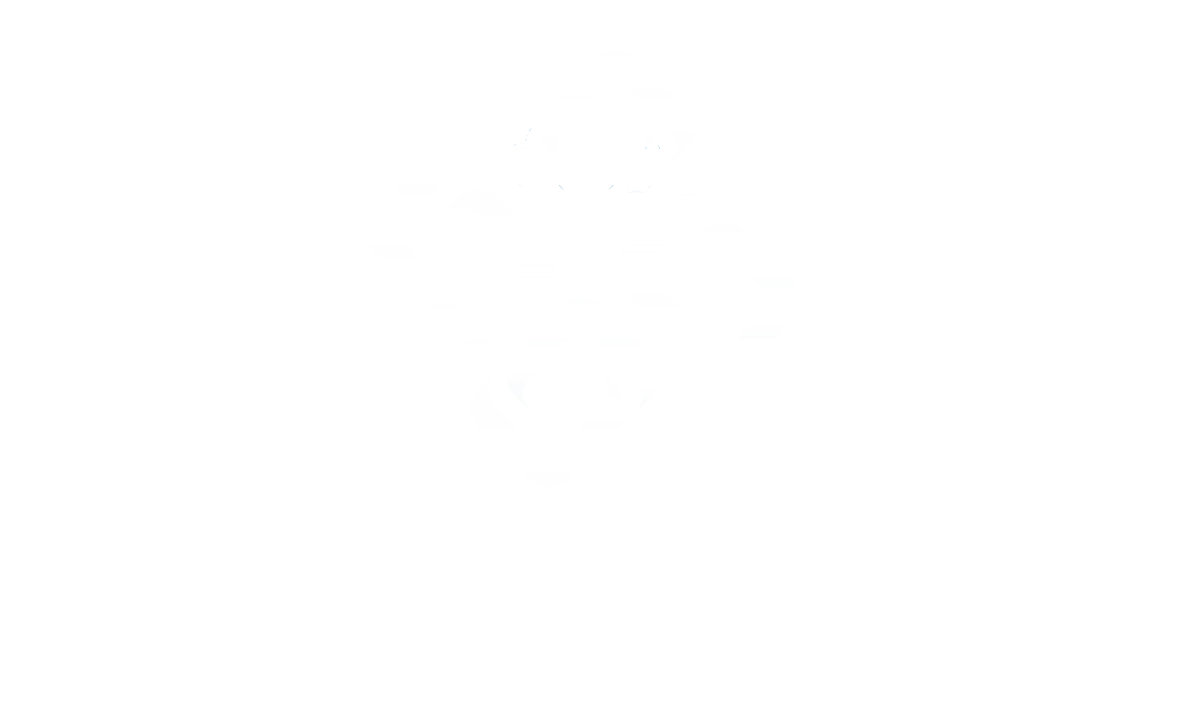 VCM